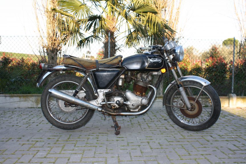 Norton
