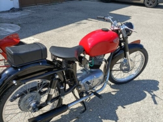 restauro-Gilera-150-del-1955-e-gilera 150-sport-extra-8